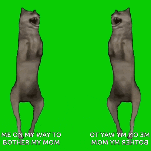 a picture of two dogs on their hind legs on a green screen