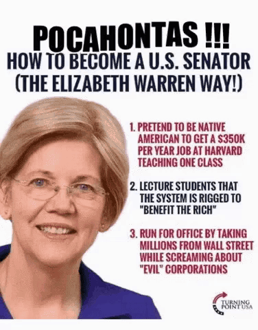a poster that says pocahontas how to become a us senator