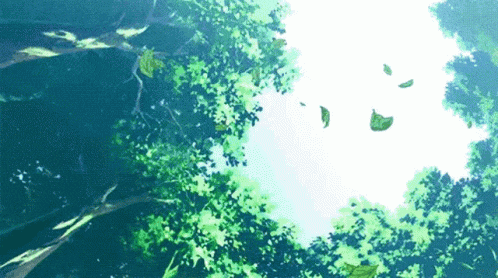 a tree with lots of green leaves and a blue sky in the background