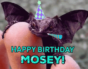 Morag Happy Birthday Mosey GIF - Morag Happy Birthday Mosey Happy Birthday GIFs