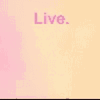 a pink heart is on a yellow and pink background .