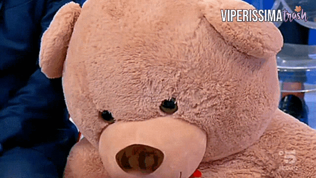 a close up of a teddy bear with viperissima mash written on the bottom