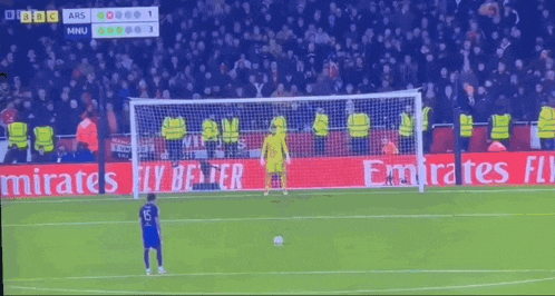 a soccer goalie stands in front of a emirates fly banner