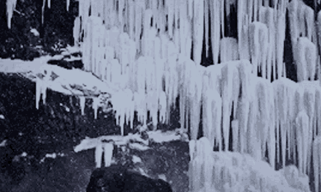 a black and white photo of icicles on a rock