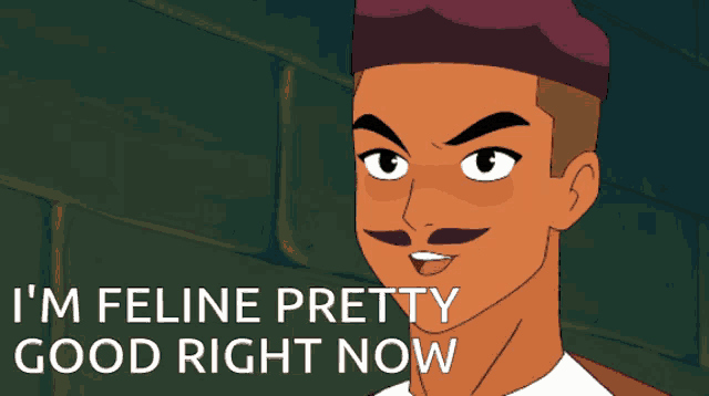 a cartoon of a man with a mustache and the words i 'm feline pretty good right now