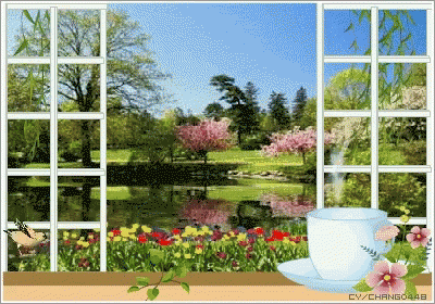 Windows GIF - Windows GIFs