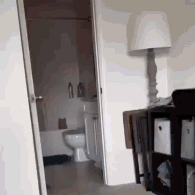 Cat In The Bathroom GIF - Cat In The Bathroom Alone GIFs