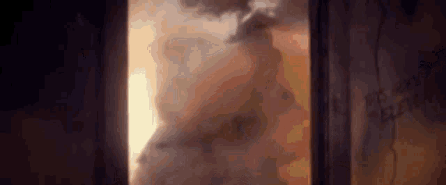 a fire is coming out of a window and smoke is coming out of the window .