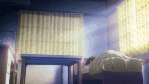 a person is sleeping in a bed in a room