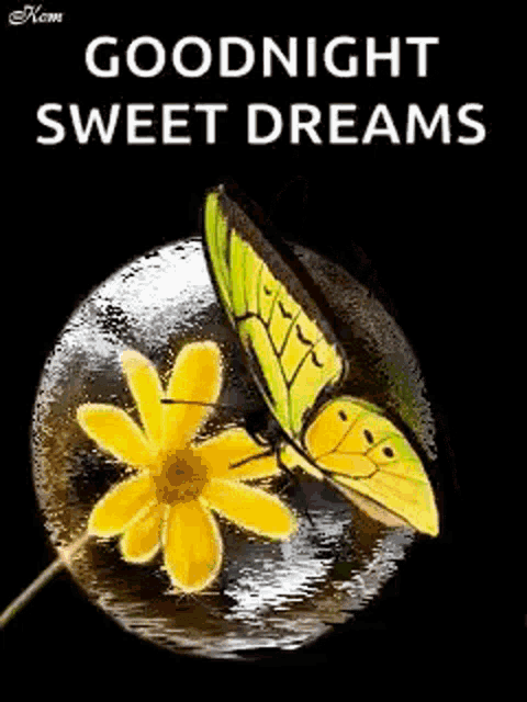 a butterfly is sitting on a yellow flower in a glass bowl .