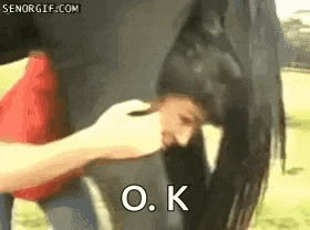 a person petting a horse 's tail with the words o.k. written on the bottom