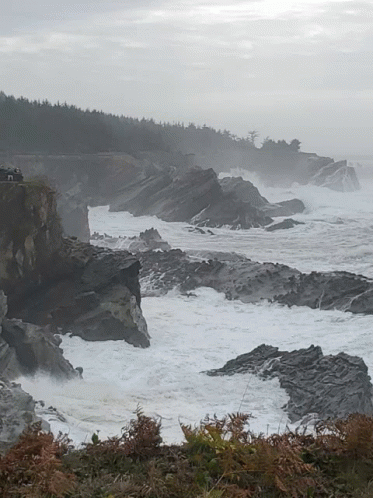 Oregon Coast Rocks GIF - Oregon Coast Rocks Sea GIFs