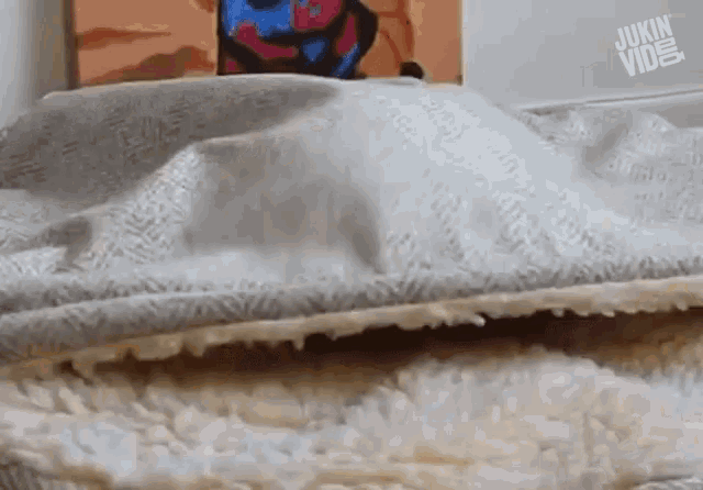 Portude Stick Out GIF - Portude Stick Out Hiding Under The Blanket GIFs
