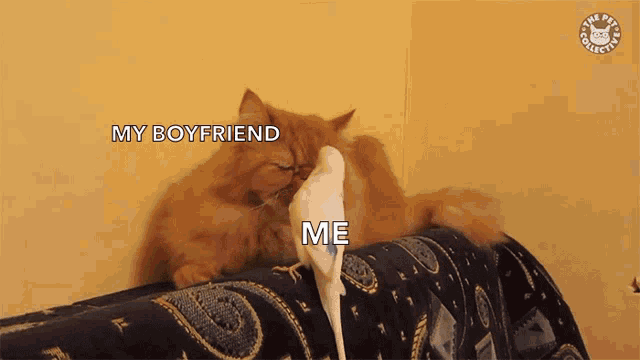 Clingy Chilly GIF - Clingy Chilly Boyfriend GIFs