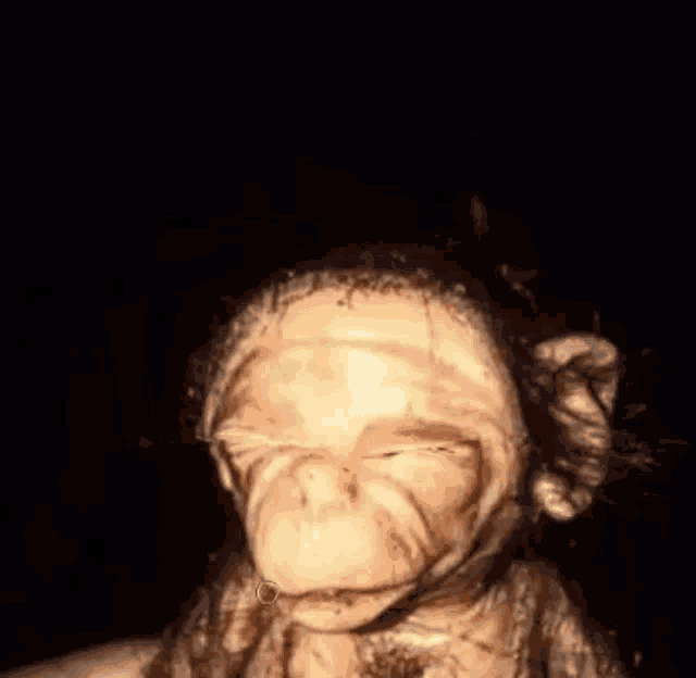a close up of a monkey 's face with its eyes closed .