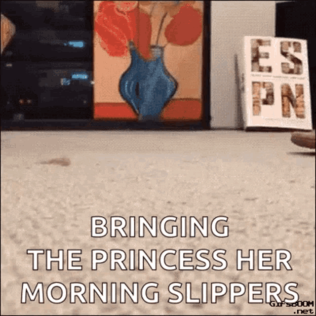Bring The Princess Her Slippers Cat GIF - Bring The Princess Her Slippers Cat Funny GIFs