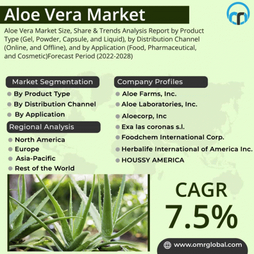 Aloe Vera Market GIF - Aloe Vera Market GIFs
