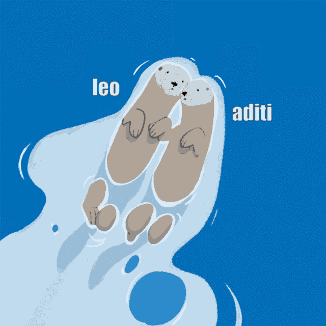 two sea otters are hugging each other and they are named leo and aditi