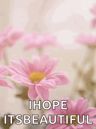 a happy mother 's day greeting card with pink daisies