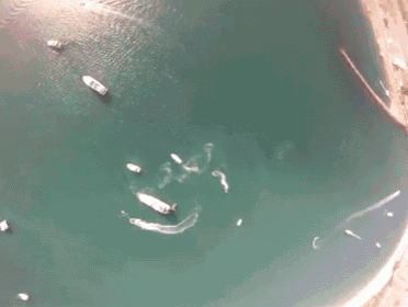 Swooping A Boat GIF - Skydiving Swooping Boat GIFs