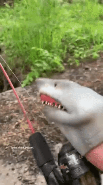 Shark Puppet Fishing GIF - Shark Puppet Fishing Fish GIFs