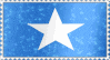 a blue flag with a white star in the center