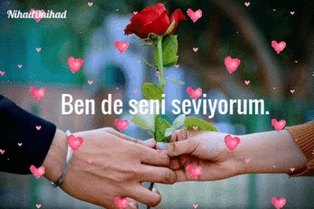 animated image of a man giving a woman a red rose with the words ben de seni seviyorum