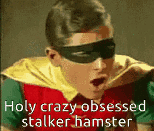 a robin is wearing a mask and sunglasses and says holy crazy obsessed stalker hamster .