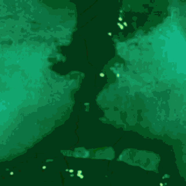a couple kissing with a green background