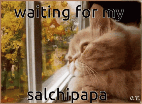 Cat Salchipapa GIF