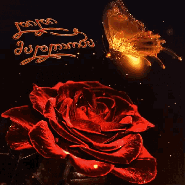a butterfly is flying over a red rose in front of a black background that says jonjon