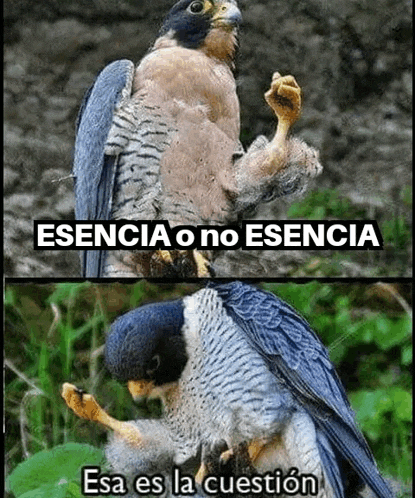 two pictures of a bird with the words esencia o no esencia on it