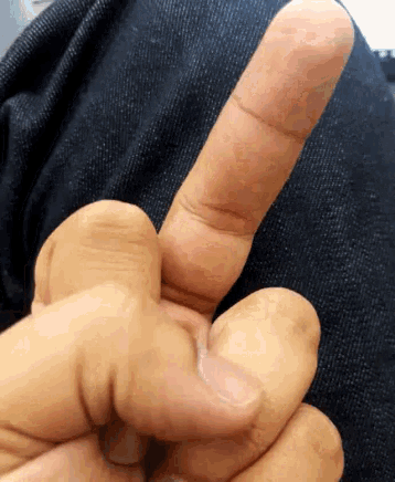 Middle Finger GIF - Middle Finger GIFs