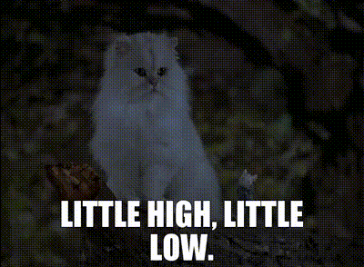 Stuart Little Little High Little Low GIF - Stuart Little Little High Little Low Stuart Little Movie GIFs