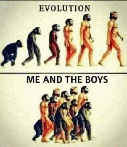 Me And My Boys Evolution GIF - Me And My Boys Evolution GIFs