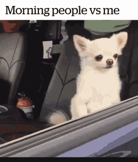 Notamorningperson Iwannasleep GIF
