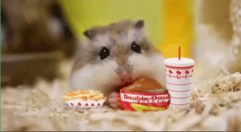 Mouse Lunch GIF - Mouse Lunch Fast Food GIFs