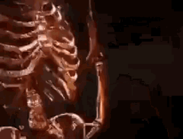Rip Bozo Skeleton GIF - Rip Bozo Skeleton Smoking GIFs