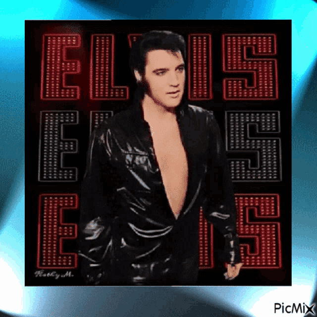 a picture of elvis presley with the word elvis on the bottom