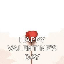 a heart made of red rose petals with the words `` happy valentine 's day '' written on it .