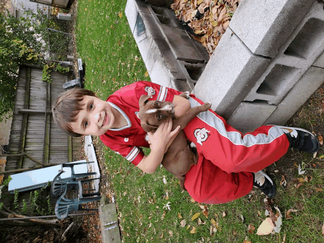 a boy wearing a red jersey with a monkey on it holds a brown puppy