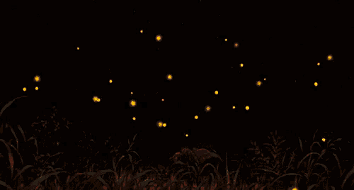 a person standing in a field with fireflies flying around them