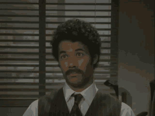 a man with curly hair and a mustache wearing a vest and tie looks at the camera
