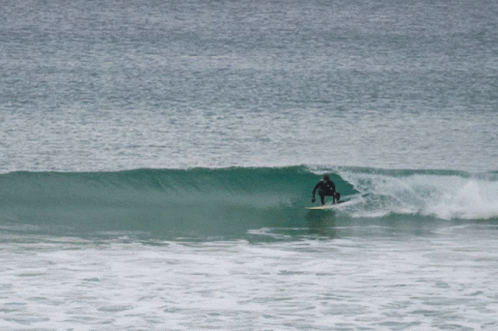 Peras Surfing GIF - Peras Surfing Beach GIFs