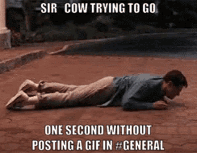 a man laying on the ground with the caption sir cow trying to go