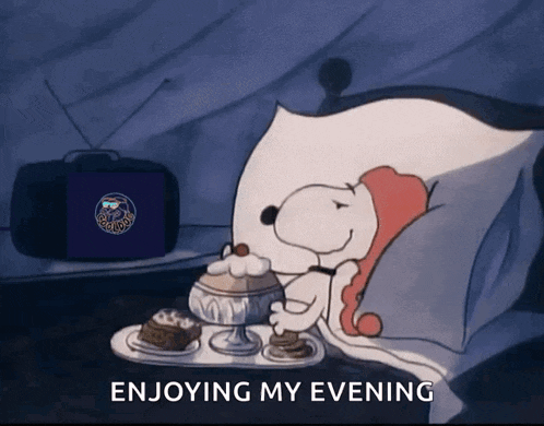 Snoopy Aksel GIF