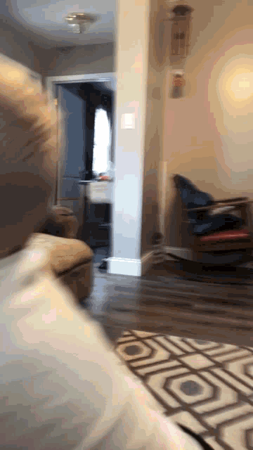 a person sitting on a couch in a living room with a rug