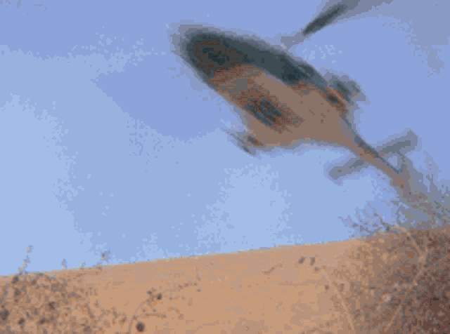 Show Helicopter GIF - Show Helicopter Tv GIFs