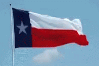 Texas Texas Flag GIF - Texas Texas Flag Flag GIFs