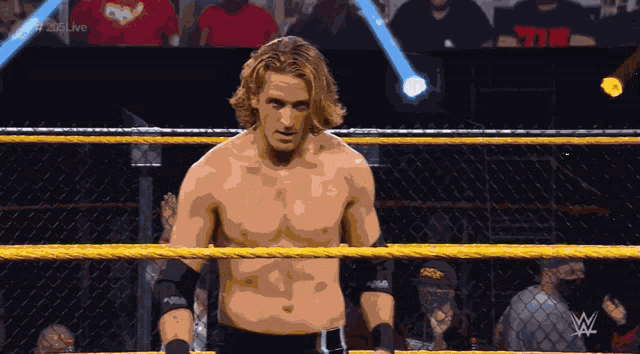 Curt Stallion Point GIF